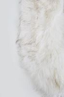 Bayan Beyaz Kürk Yaka