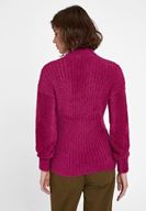 Bayan Mor Balıkçı Yaka Uzun Kollu Triko