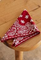 Bayan Bordo Baskı Detaylı Fular