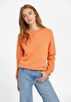 Bayan Turuncu Sıfır Yaka Uzun Kollu Sweatshirt