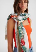 Bayan Çok Renkli Desenli Şal