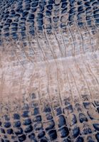 Bayan Lacivert Desenli Şal