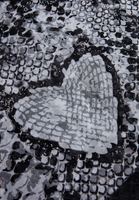 Bayan Yeşil Yılan Desenli Şal