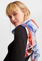 Bayan Çok Renkli Desenli Şal