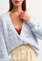 Bayan Mavi Düğmeli Örgü Hırka