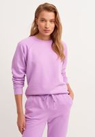 Bayan Mor Zero-Neck Crop Sweatshirt