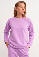 Bayan Mor Zero-Neck Crop Sweatshirt