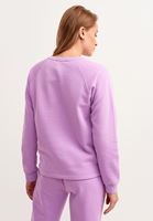 Bayan Mor Zero-Neck Crop Sweatshirt