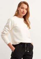 Bayan Krem Zero-Neck Crop Sweatshirt