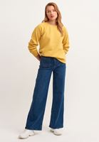 Bayan Sarı Zero-Neck Crop Sweatshirt