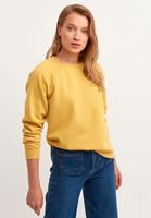 Bayan Sarı Zero-Neck Crop Sweatshirt