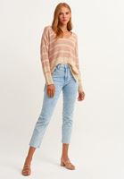 Bayan Çok Renkli V-Neck Çizgili Triko