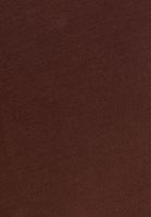 Women Brown Cotton V-neck T-shirt