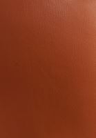 Bayan Kahverengi Vegan Deri Midi Elbise