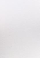 Bayan Beyaz Casual Deep V-Neck Tişört