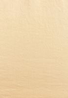 Bayan Bej Western Apoletli Gömlek