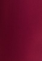 Bayan Vişne Çürüğü Premium Kemerli Blazer Ceket