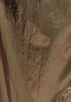 Bayan Yeşil Kapüşonlu Uzun Yağmurluk