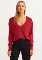 Bayan Bordo Nature Friendly V-Neck Triko ( TENCEL™ )