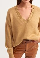 Bayan Kahverengi Aksesuar Detaylı V Yaka Triko