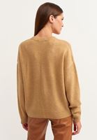 Bayan Kahverengi Aksesuar Detaylı V Yaka Triko