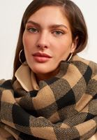 Bayan Çok Renkli Ekoseli Kalın Şal