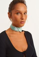 Bayan Yeşil Desenli Mini Fular