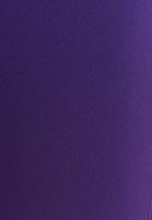 Bayan Mor Dikişsiz Esnek Dokulu Tayt