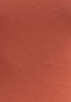 Bayan Turuncu Kare Yaka Uzun Kollu Tişört