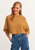 Bayan Kahverengi Oversize Crop Triko