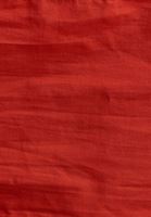 Bayan Kırmızı Bağlama Detaylı Crop Bluz 