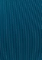 Bayan Mavi Belden Bağlamalı V Yaka Crop Top