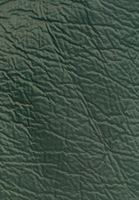 Bayan Yeşil Waterproof Midi Yağmurluk