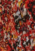 Bayan Çok Renkli Bağlama Detaylı ve Floral Desenli Bluz