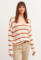 Bayan Çok Renkli Çizgili V-Neck Triko