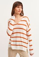 Bayan Çok Renkli Çizgili V-Neck Triko