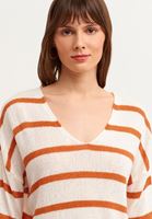 Bayan Çok Renkli Çizgili V-Neck Triko