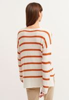 Bayan Çok Renkli Çizgili V-Neck Triko