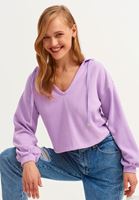 Women Purple Hooded Crop Knitwear