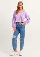 Women Purple Hooded Crop Knitwear
