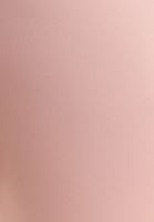 Bayan Pembe Esnek Dokulu ve Bel Detaylı Tayt