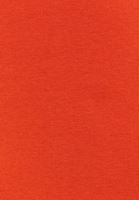 Pamuklu Tişört ve Jogger Pantolon Kombini