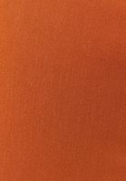 Bayan Turuncu Düşük Bel Kargo Cepli Pantolon