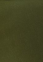 Bayan Yeşil Düşük Bel Kargo Cepli Pantolon