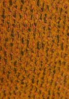 Bayan Çok Renkli Kare Yaka Crop Atlet