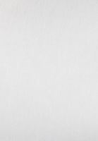 Bayan Krem Yumuşak Dokulu Sıfır Yaka Tişört (MODAL )