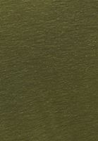 Bayan Yeşil Keten V Yaka Tişört