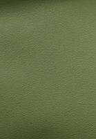 Bayan Yeşil Vegan Deri Ceket Elbise