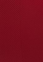 Bayan Kırmızı Dik Yaka Seamless Atlet