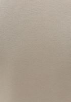 Bayan Bej Pamuklu Yaka Detaylı Tişört